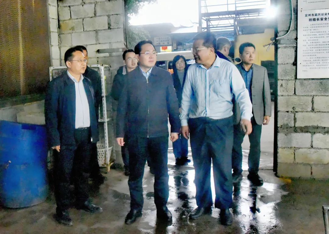 宜州区委书记薛海源到广西嘉凤丝绸有限公司调研时强调